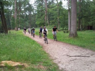  Balade entre amis dans la foret 